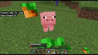 100 Day Minecraft Build Episode 3