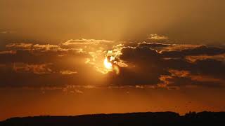 Beautiful Sunset On The Beach | NCV-Footage Free Stock |Video#104