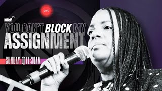 You Can't Block My Assignment
