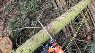 Felling and Log Processing Training UK | Part 2
