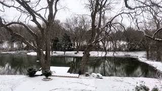 Moment of Zen