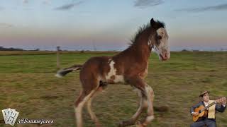 A birth occurred in the middle of winter | Santiago Vaquero