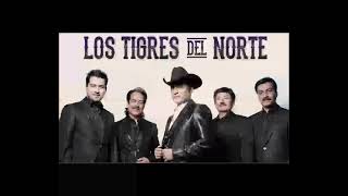 CONTRABANDO Y TRAICIÓN - LOS TIGRES DEL NORTE