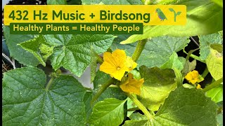 432 Hz Music for Garden Plants + Healing Birdsong for Plant Growth 🌱 Healthy Plants = Healthy People