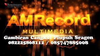 Live YOU AND ME Pernikahan Eko ( Glegor ) & Hana  // AM RECORD Live Streaming // RSM Sound