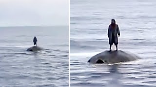 10 Bizarre Unsolved Mysteries That Can Not Be Explained