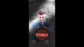 Pebble or Not? (Video, 2025)