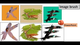 Create brush pictures