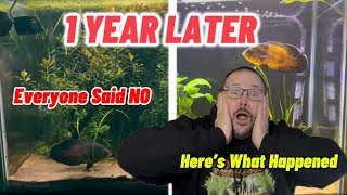 Everyone Said This Would Fail…. But I Proved Them Wrong (Sort Of)