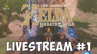 Zelda: Breath of the Wild Blind Playthrough Part 1! - Karsty5