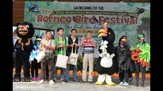 Borneo Bird Festival 2019