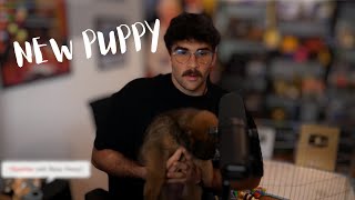 Hasan introduces his new dog Kaya to the stream! (Cute)