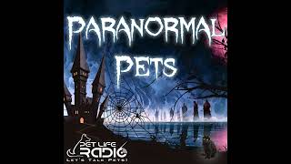 Paranormal Pets - Episode 137 January Potpourri: Three Knocks and a Warning: When the Dead Speak ...