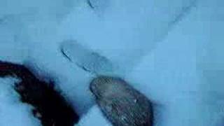 Stinky In Da Snow