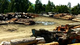 Going Bush Season 7 Episode 02 Island Specialty Timbers