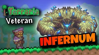 9-YEAR Terraria Veteran Tries Beating CALAMITY INFERNUM for the first time