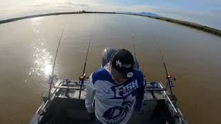 Shakedown Run and Sturgeon Fishing In Suisun