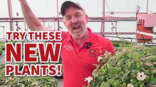 Why your hanging baskets may not work: here's how to pick the right plants!