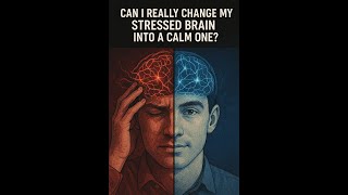 Master Your Mood Hack Your Brain for Instant Happiness | Black Belt Breakthroughs