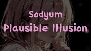 Plausible Illusion