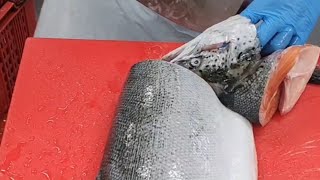 how to scaling and fillet salmon fish/mesin sisik ikan.