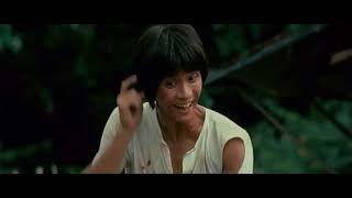 The Incredible Kung Fu Master(1979)-"Master the incredible"