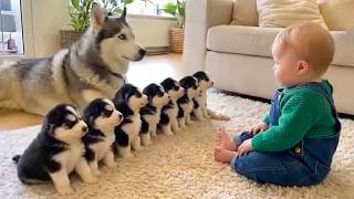 Baby And Puppy Best Friend Moments That'll Melt Your Heart 🐶👶 Baby And Dog || Baby Vibes