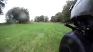 Buggy time on the farm