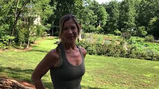 Welcome: Tour of My Community Garden at Earthaven Ecovillage - Part 1