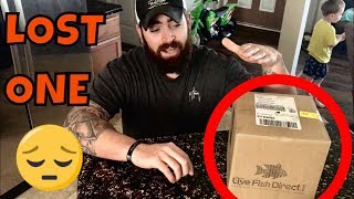 RARE Fish UNBOXING