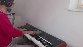 Meandering Mine - Inoculation - Piano Cover