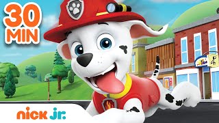 Best of Marshall 🐶 PAW Patrol! | 30 Minute Compilation | Nick Jr.