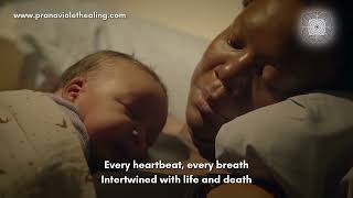 Who We Are  - Voices of PVH / Prana Violet Healing