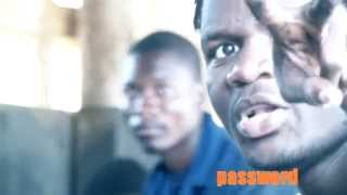 King Chambiecco - Password