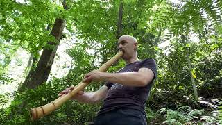 Bass Shakuhachi - Forest Breathing/Old-Growth Improvisation 尺八 Cornelius Boots - Smoky Mountains TN