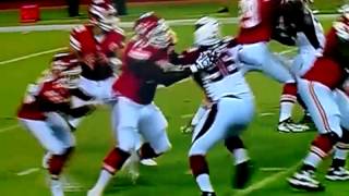 Nice protection by David Mims