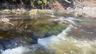 One Minute In Nature | Water Meditation | Water Sounds | Calming Nature Sounds May 29, 2024
