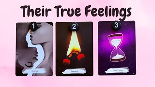 How Do They Feel About You? 🎭 | Pick A Card