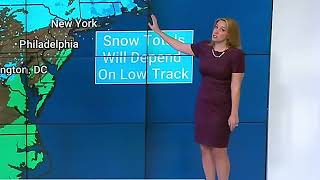 Alex Wilson - The Weather Channel - 120621 Purple Dress - Easy On The Eyes