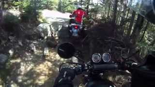 Tammy Off Road