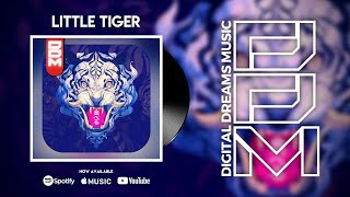 侍 Japanese Type Samurai Lofi Hip-Hop Beat | Little Tiger | DDM #japanese #lofi #DDM