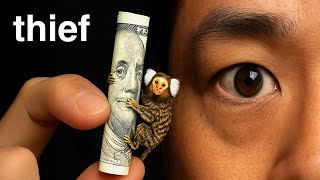 I Tested if the Worlds Smallest Monkey Could Steal