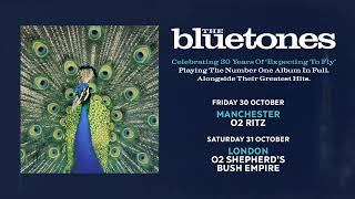 The Bluetones - Celebrating 30 Years of 'Expecting to Fly'