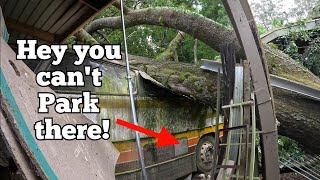 Huge Oak Tree Crushes Bus