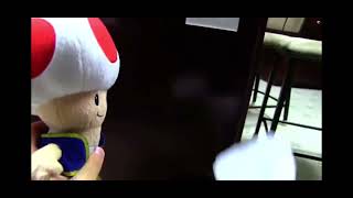 Chef Pee Pee destroys the cake, and abuses Toad