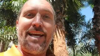 How to avoid a common scam at Garden Centers and Tree Farms
