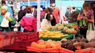 Noe Valley Neighborhood Guide