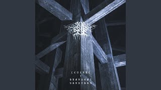 Skygge (Live)