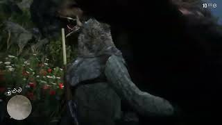 Killing legendary bear in red dead redemption 2