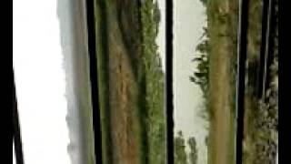CRAZY AND AMAZING VIDEO